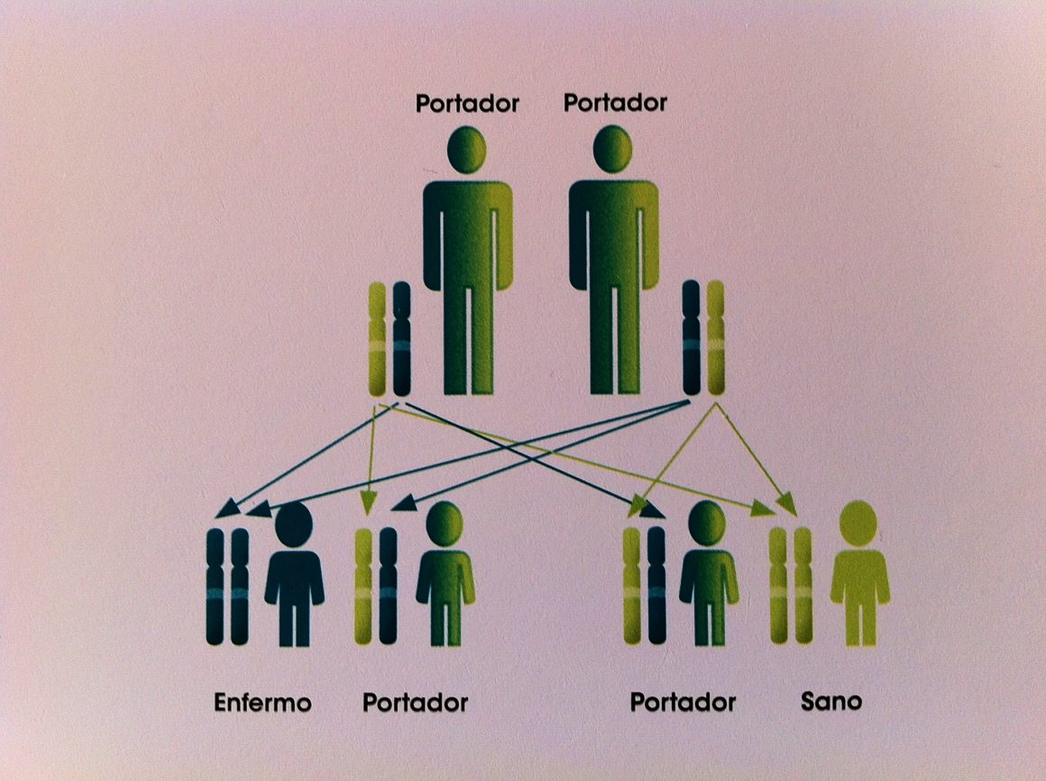 Estudio en enfermedades raras