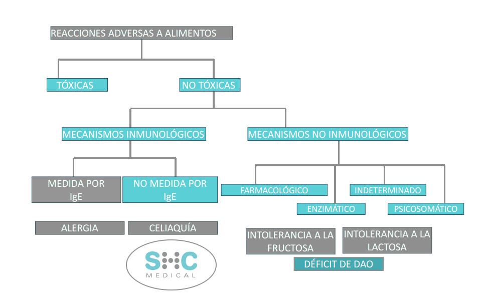 Alergias O Intolerancias Reacciones Adversas A Alimentos
