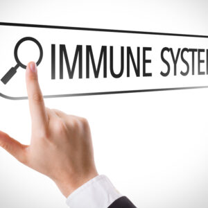 El sistema inmunológico, implicado en la Fibromialgia