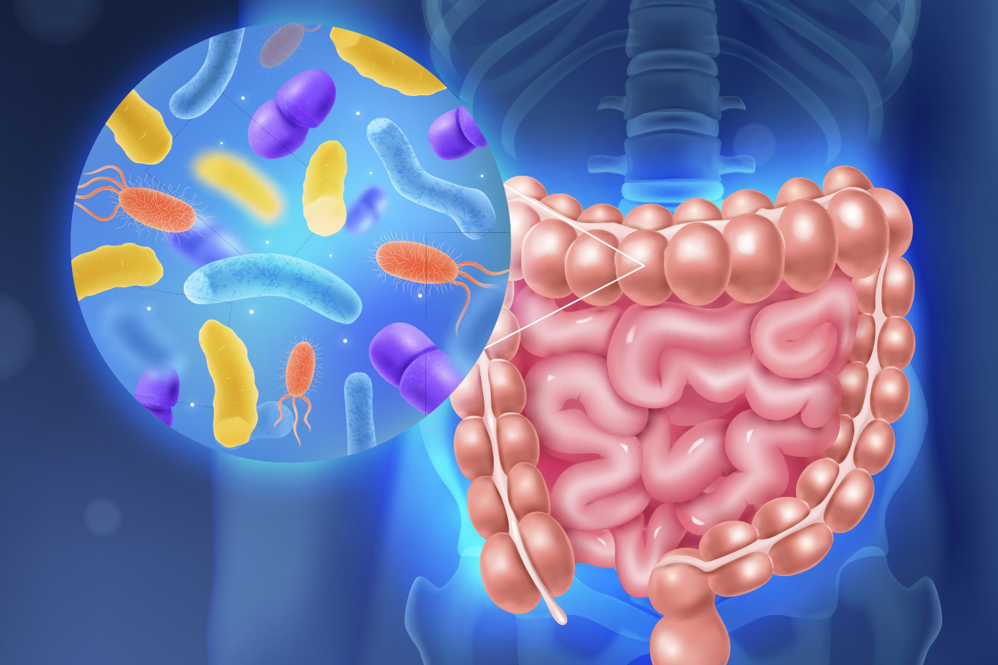 Microbioma Intestinal Pruebas Diagn Sticas Shc Medical